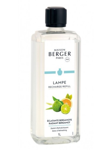 perfume-de-hogar-terre-d-epices-1l-maison-berger-paris-1898.jpg